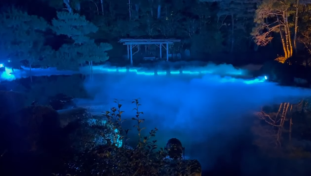 ヨルマイリ 2025-26 平安神宮-1