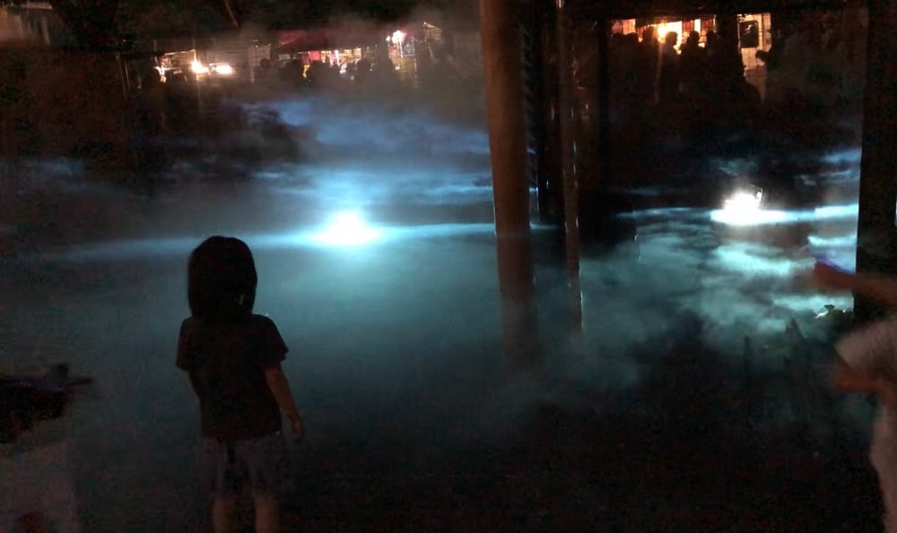 夜会演出画像_190827_0002
