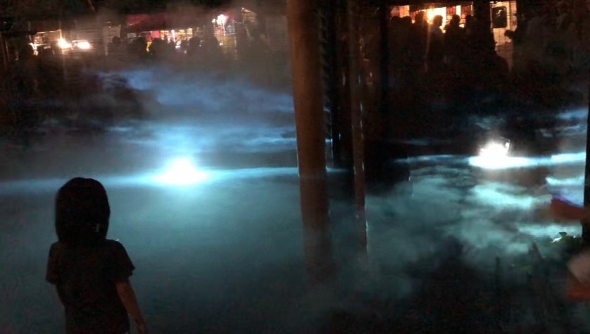 夜会演出画像_190827_0002_16-9