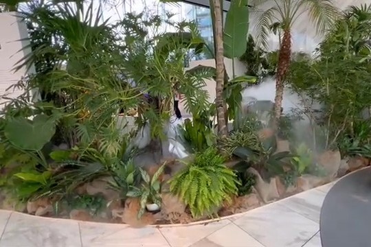 オフィスでの植栽ミスト演出