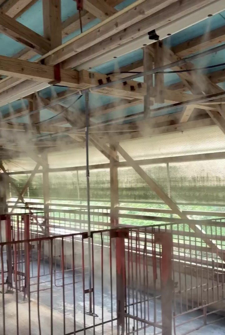 豚舎_ミスト噴霧