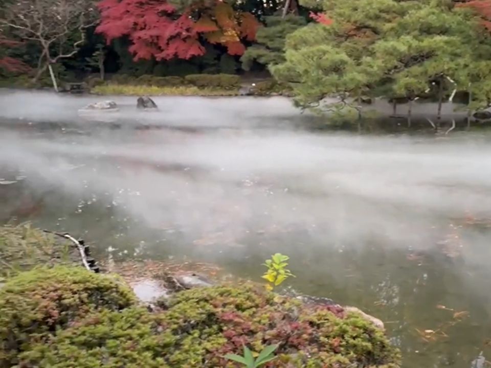 雲海のようなミスト演出例