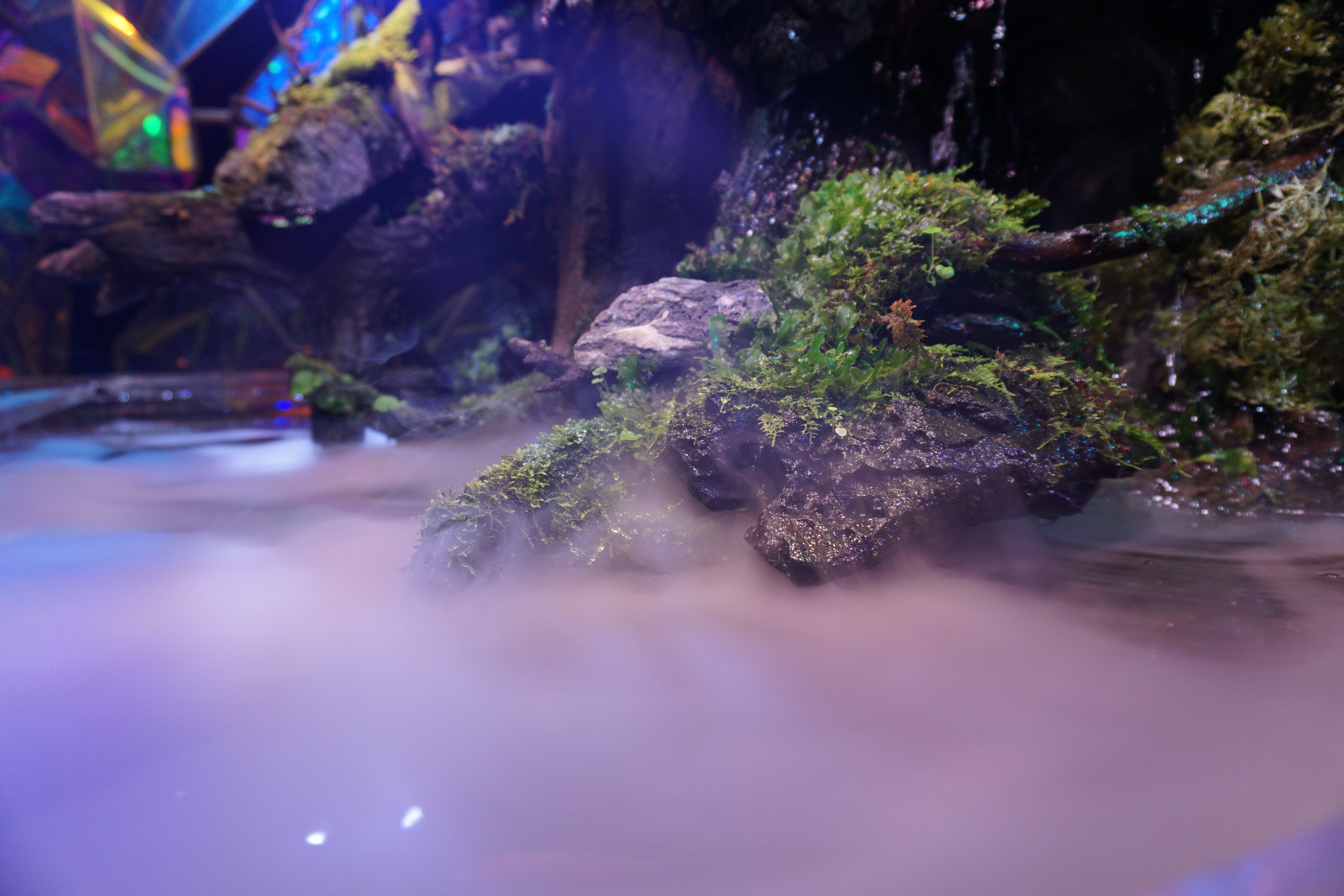 nara_kingyo_museum_02