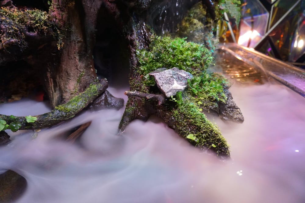 nara_kingyo_museum_04