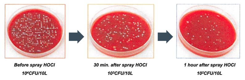 bacteria test result