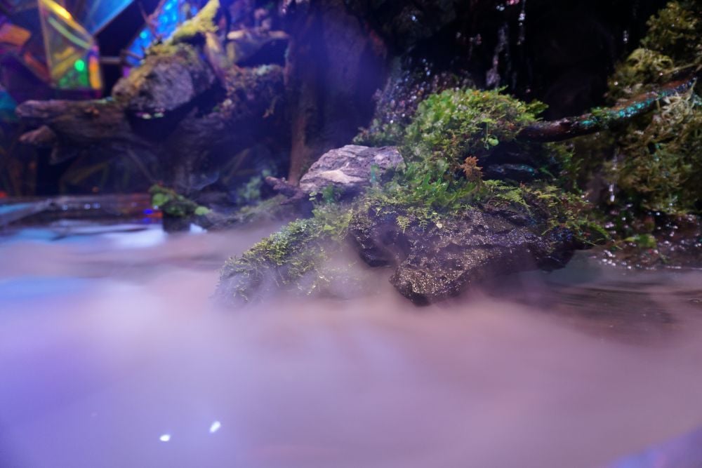 nara_kingyo_museum_03