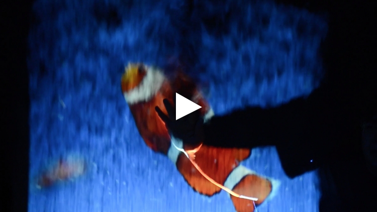 動画イメージ5